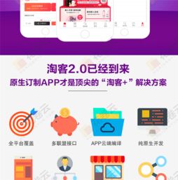 原生淘客APP源碼開發(fā)與花卷云鄭州軟件定制服務
